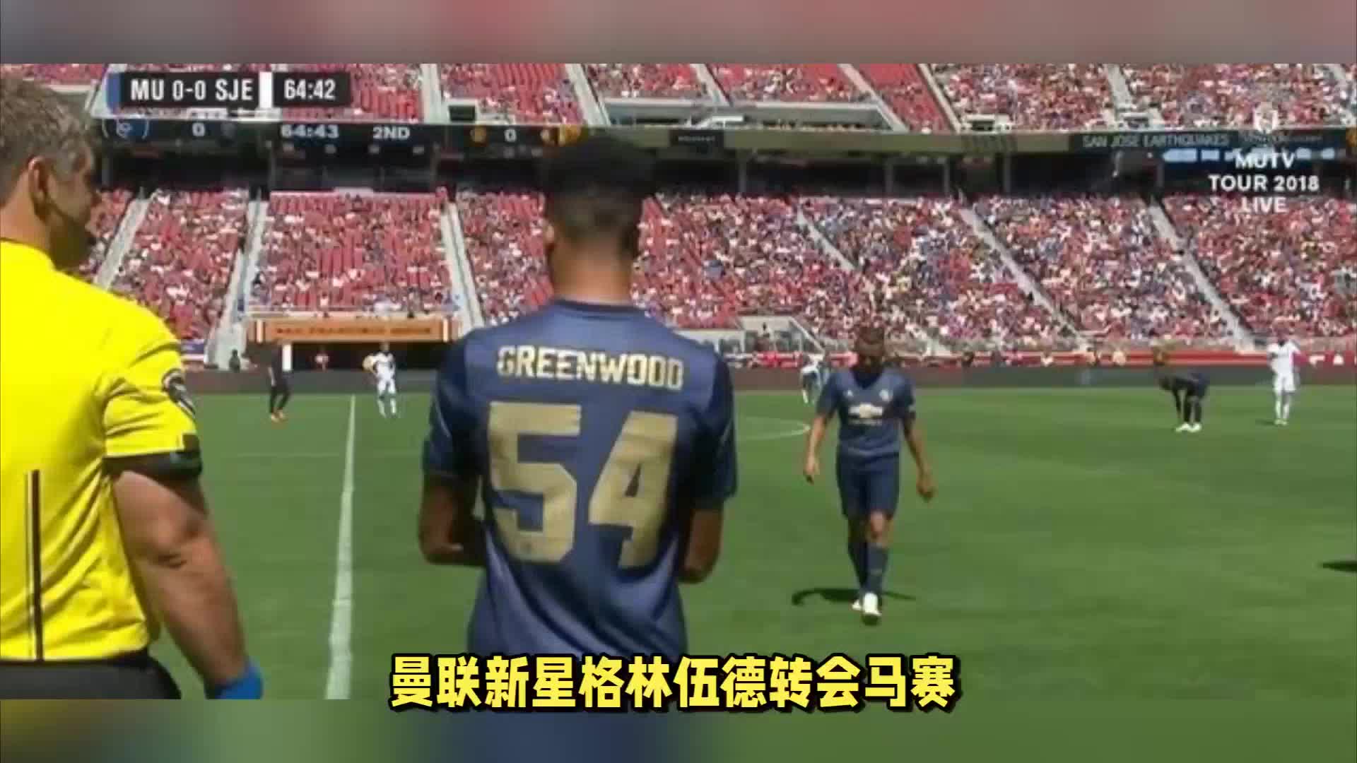 奋力扑